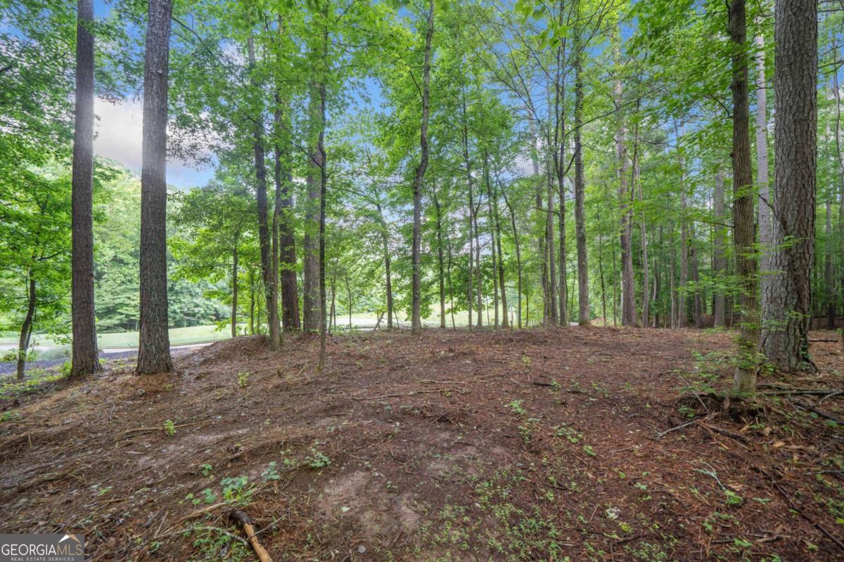 240 Brock Trail, Unit 4 Milton, GA 30004 - Photo 8 of 31 a view of outdoor space and trees