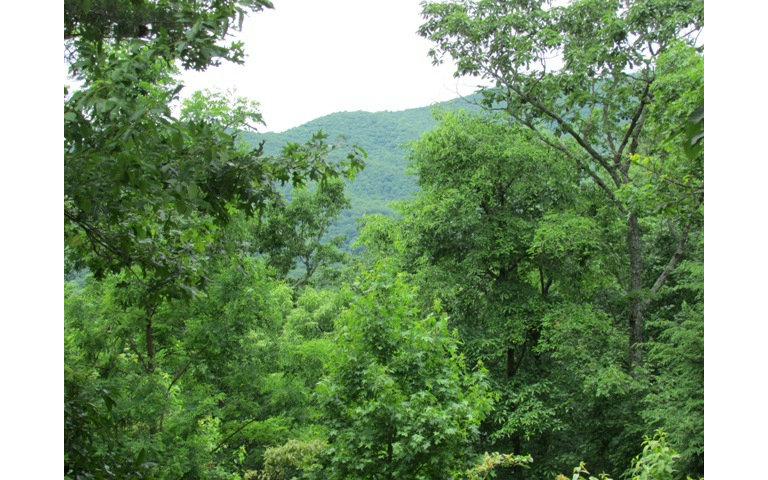 0 Laurel Top Ridge Ellijay, GA 30536 - Photo 1 of 1 Main View