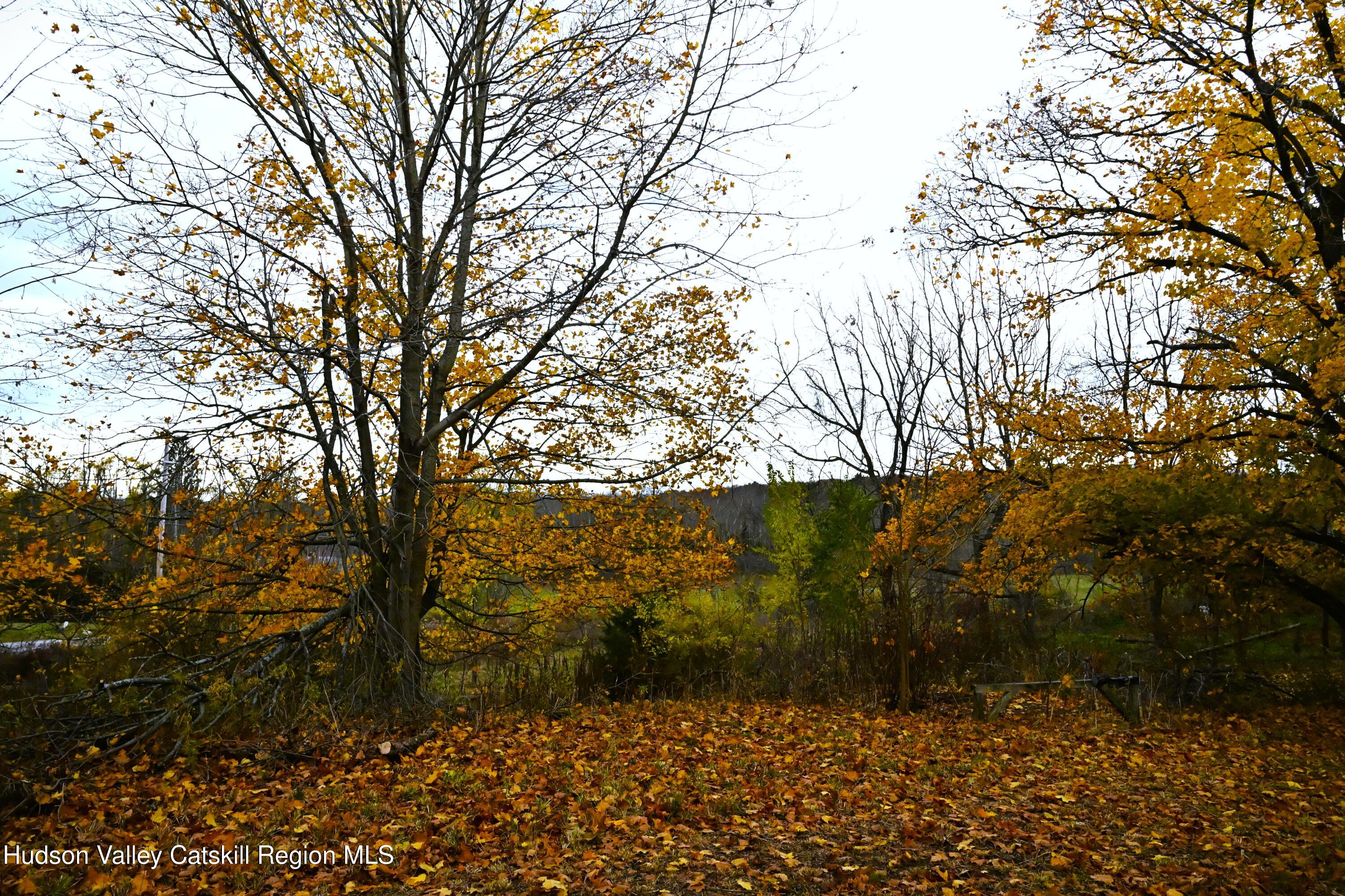 163 County Rte 14 Hudson, NY 12534 - Photo 23 of 49 a view of outdoor space