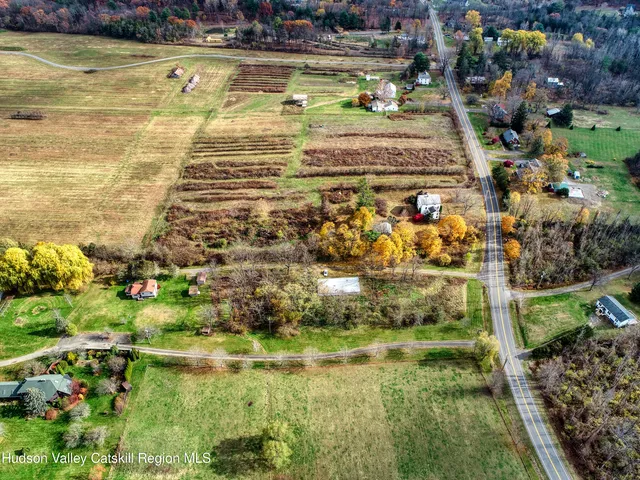 a view of a swimming pool of water with lawn chairs and large trees