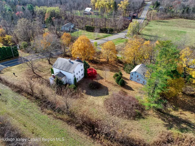 a view of a yard with plants and large trees