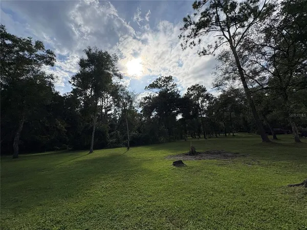 a view of outdoor space with trees all around