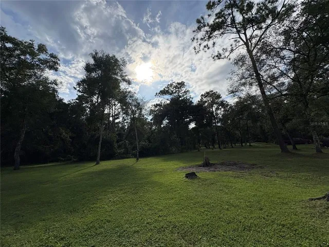 a view of outdoor space with trees all around