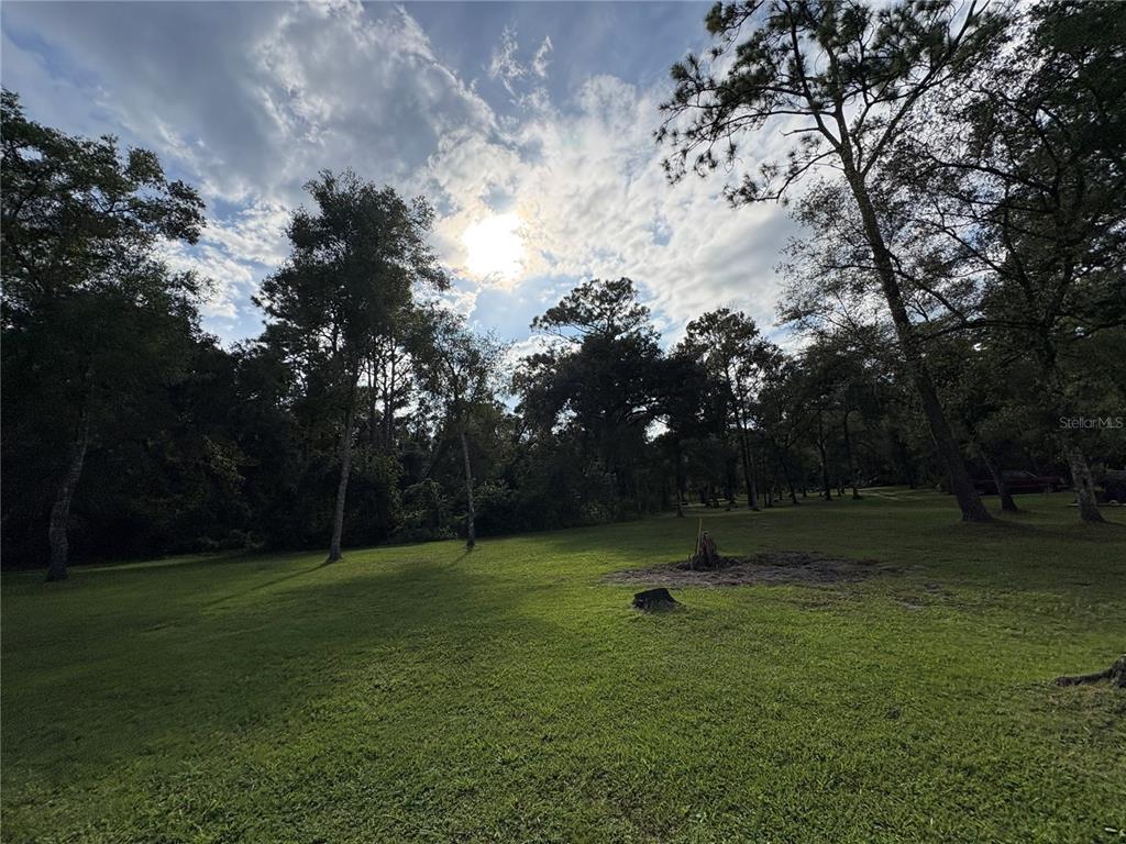 Lucilles Shady Lane Nobleton, FL 34661 - Photo 12 of 71 a backyard of a house with lots of green space