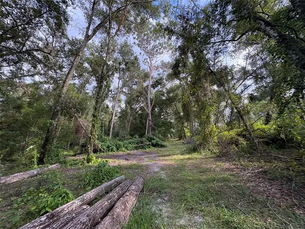 a view of yard with green space