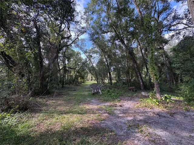 a view of a dirt road with trees in the background