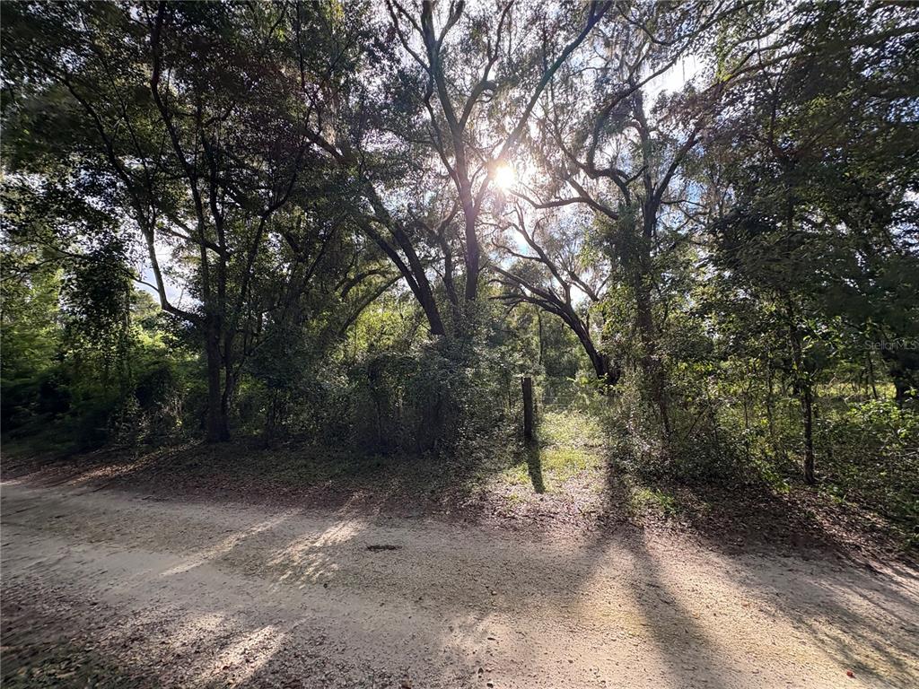 Lucilles Shady Lane Nobleton, FL 34661 - Photo 23 of 71 a view of a dirt road with trees in the background