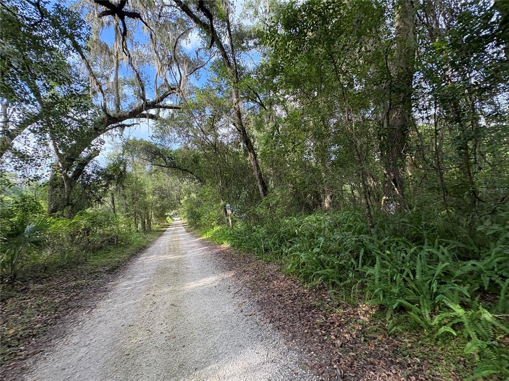 Lucilles Shady Lane Nobleton, FL 34661 - Photo 25 of 71 a view of a dirt pathway both side of yard
