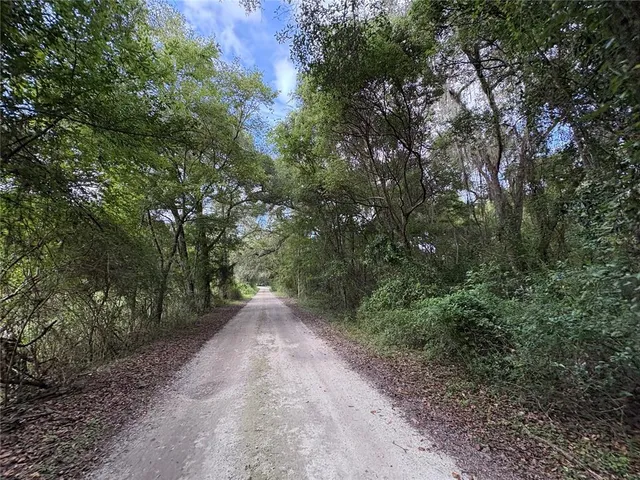 a view of a garden with sitting area