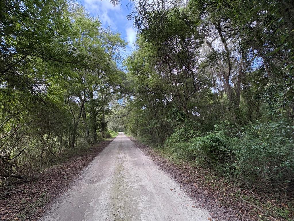 Lucilles Shady Lane Nobleton, FL 34661 - Photo 27 of 71 a view of a dirt road with trees in the background