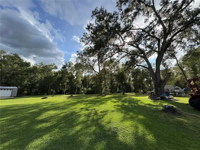 a view of a park with large trees