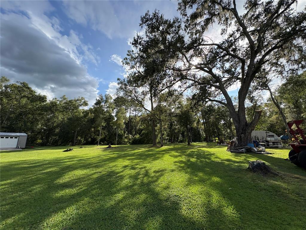 Lucilles Shady Lane Nobleton, FL 34661 - Photo 3 of 71 a view of a park with large trees