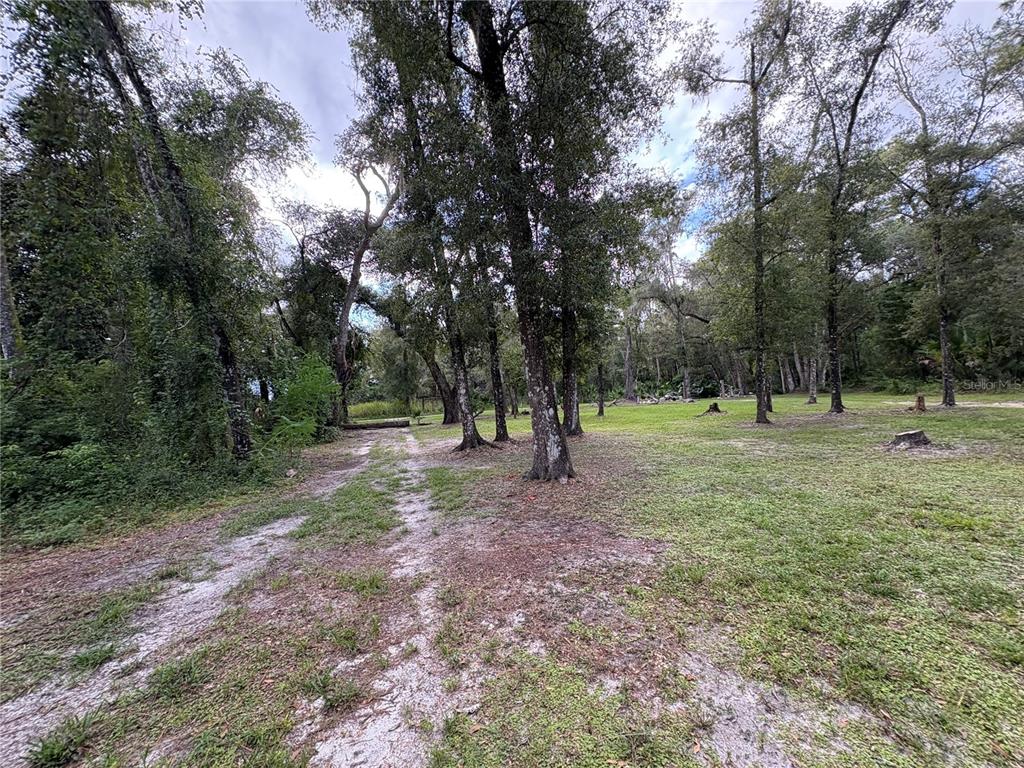 Lucilles Shady Lane Nobleton, FL 34661 - Photo 31 of 71 a ground with lots of trees