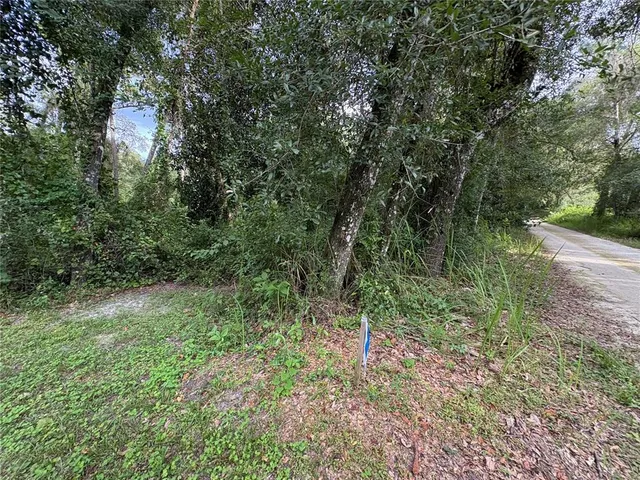 a view of a road with a trees in the background