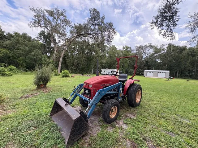 a view of a yard with plants and a large tree