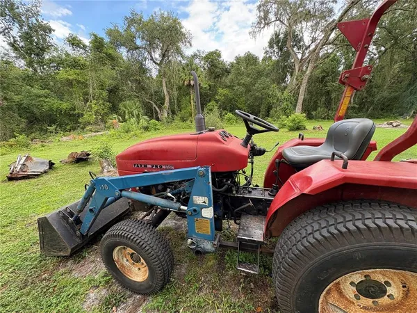 a view of a forest with lots of trees