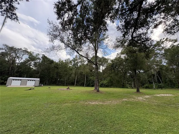 a big yard with lots of green space and deers
