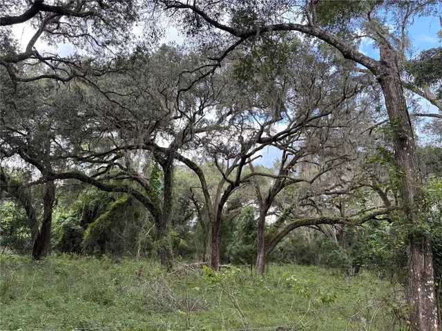 a view of a field with trees in background