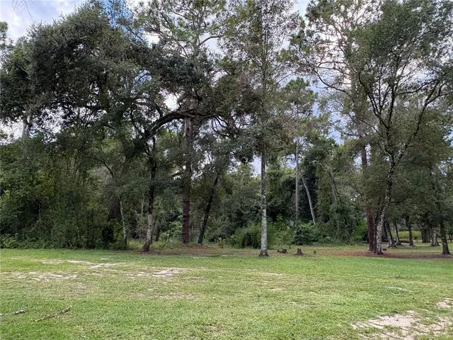 a view of a yard with a tree
