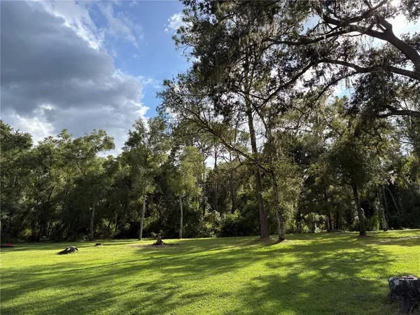 a view of a grassy field with trees