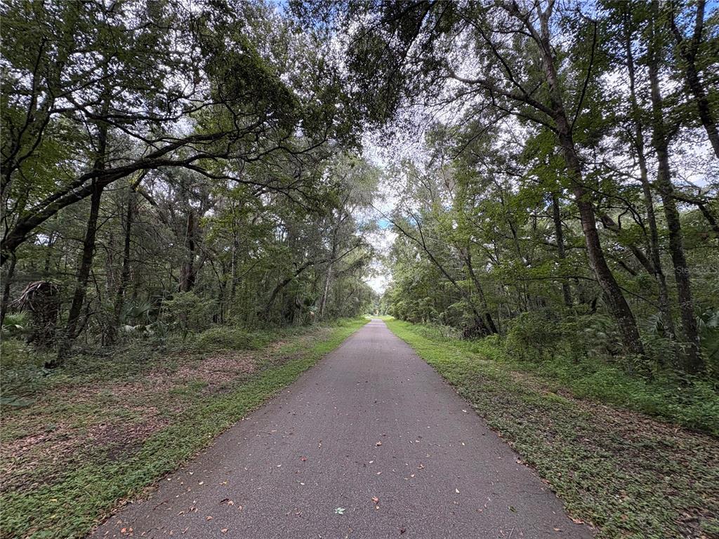 Lucilles Shady Lane Nobleton, FL 34661 - Photo 42 of 71 a view of a road with a trees in the background