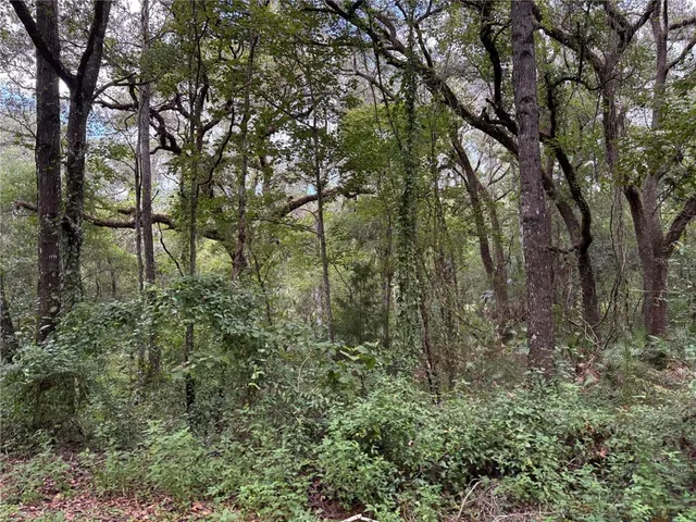 a view of a yard with a tree