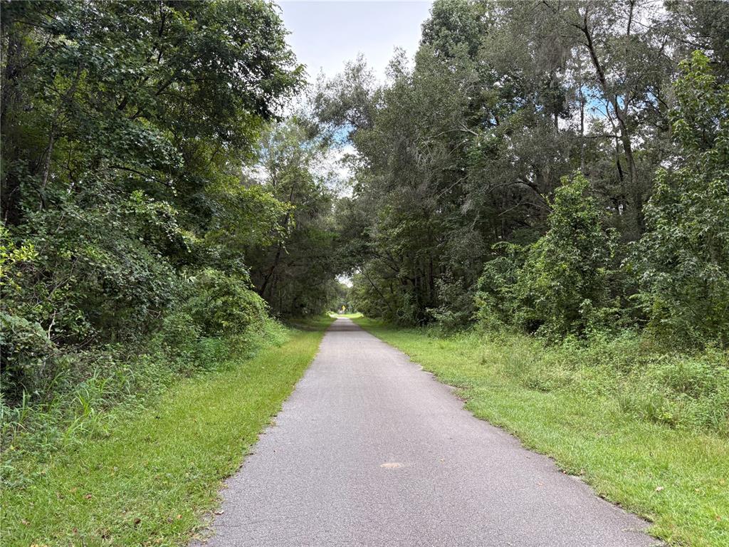 Lucilles Shady Lane Nobleton, FL 34661 - Photo 46 of 71 a view of a pathway both side of yard