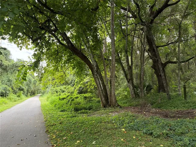 a view of a yard with a tree
