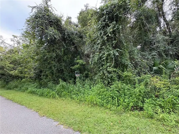 a view of a large yard with lots of bushes