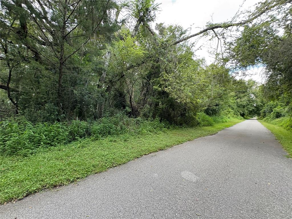 Lucilles Shady Lane Nobleton, FL 34661 - Photo 50 of 71 a view of a field with trees in background