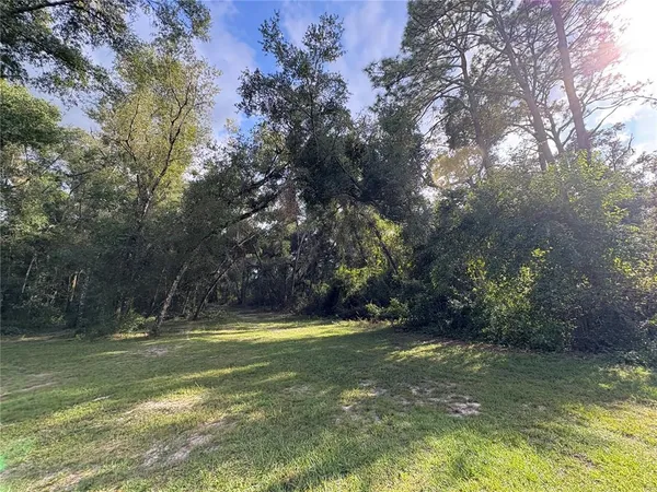 a view of outdoor space with trees all around