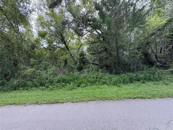 $380,000 | Lucilles Shady Lane, Nobleton, FL 34661
