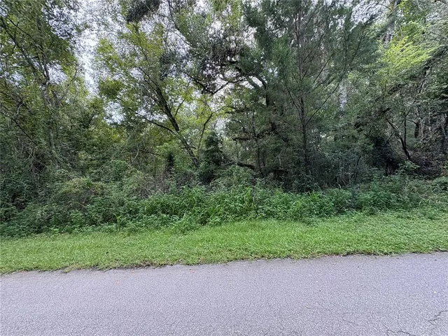 $380,000 | Lucilles Shady Lane, Nobleton, FL 34661