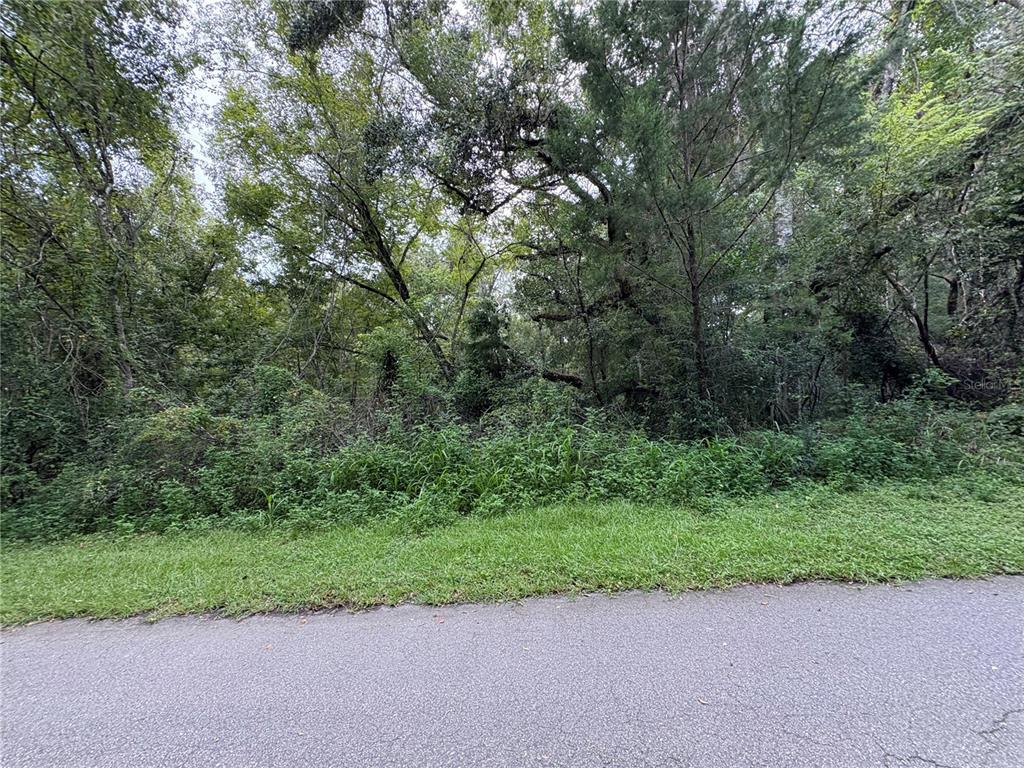 Lucilles Shady Lane Nobleton, FL 34661 - Photo 51 of 71 a view of a yard with a tree