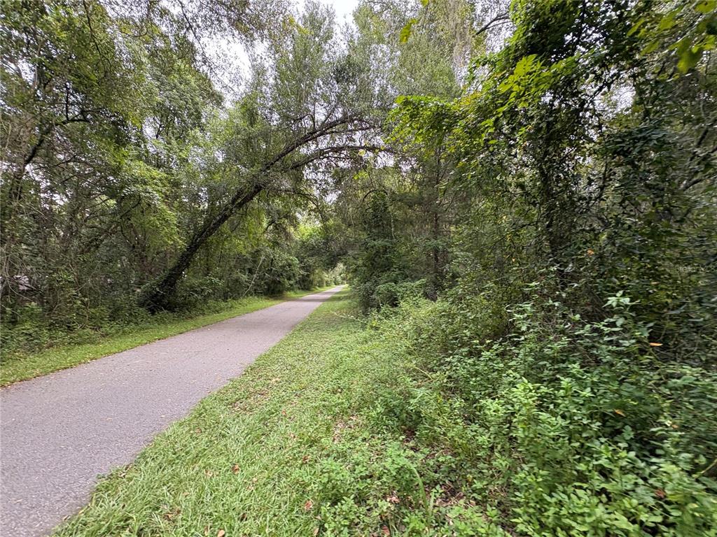 Lucilles Shady Lane Nobleton, FL 34661 - Photo 53 of 71 a view of a yard with plants and a trees