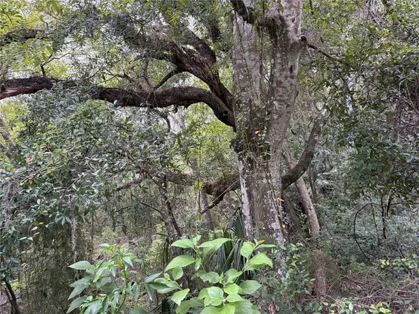 $380,000 | Lucilles Shady Lane, Nobleton, FL 34661