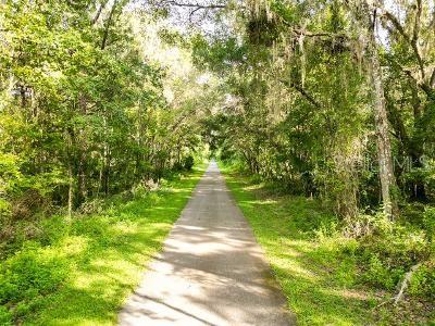 Lucilles Shady Lane Nobleton, FL 34661 - Photo 59 of 71 a view of park with large trees