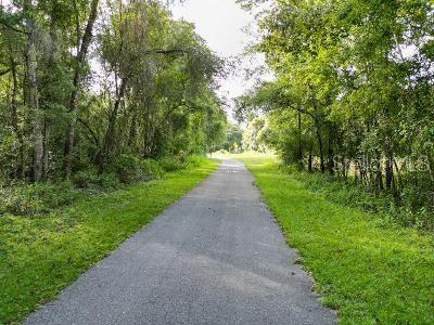Lucilles Shady Lane Nobleton, FL 34661 - Photo 60 of 71 a view of a pathway with a yard