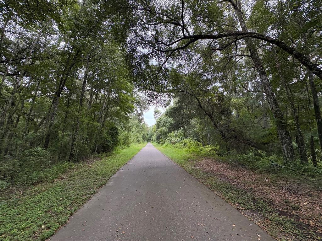 Lucilles Shady Lane Nobleton, FL 34661 - Photo 6 of 71