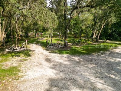 Lucilles Shady Lane Nobleton, FL 34661 - Photo 62 of 71 a view of a yard with a tree