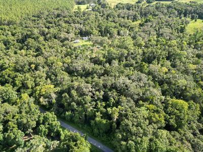 Lucilles Shady Lane Nobleton, FL 34661 - Photo 64 of 71