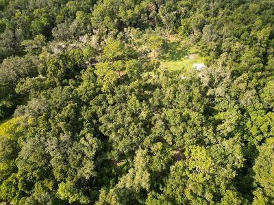Lucilles Shady Lane Nobleton, FL 34661 - Photo 66 of 71