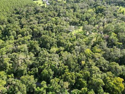 Lucilles Shady Lane Nobleton, FL 34661 - Photo 67 of 71