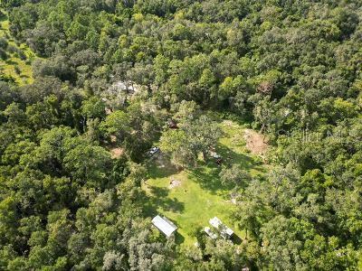 Lucilles Shady Lane Nobleton, FL 34661 - Photo 68 of 71 a view of a large yard with lots of bushes