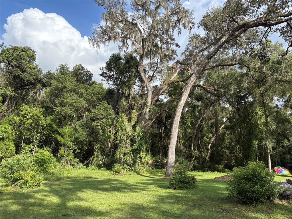 Lucilles Shady Lane Nobleton, FL 34661 - Photo 7 of 71