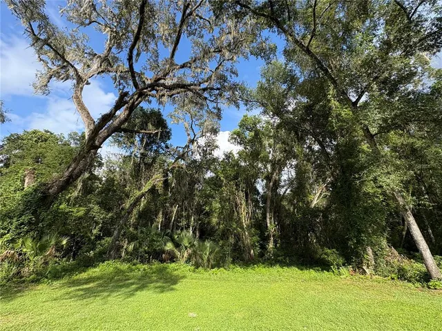a big yard with lots of green space and fountain