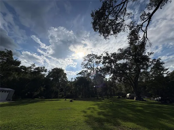 a backyard of a house with lots of green space