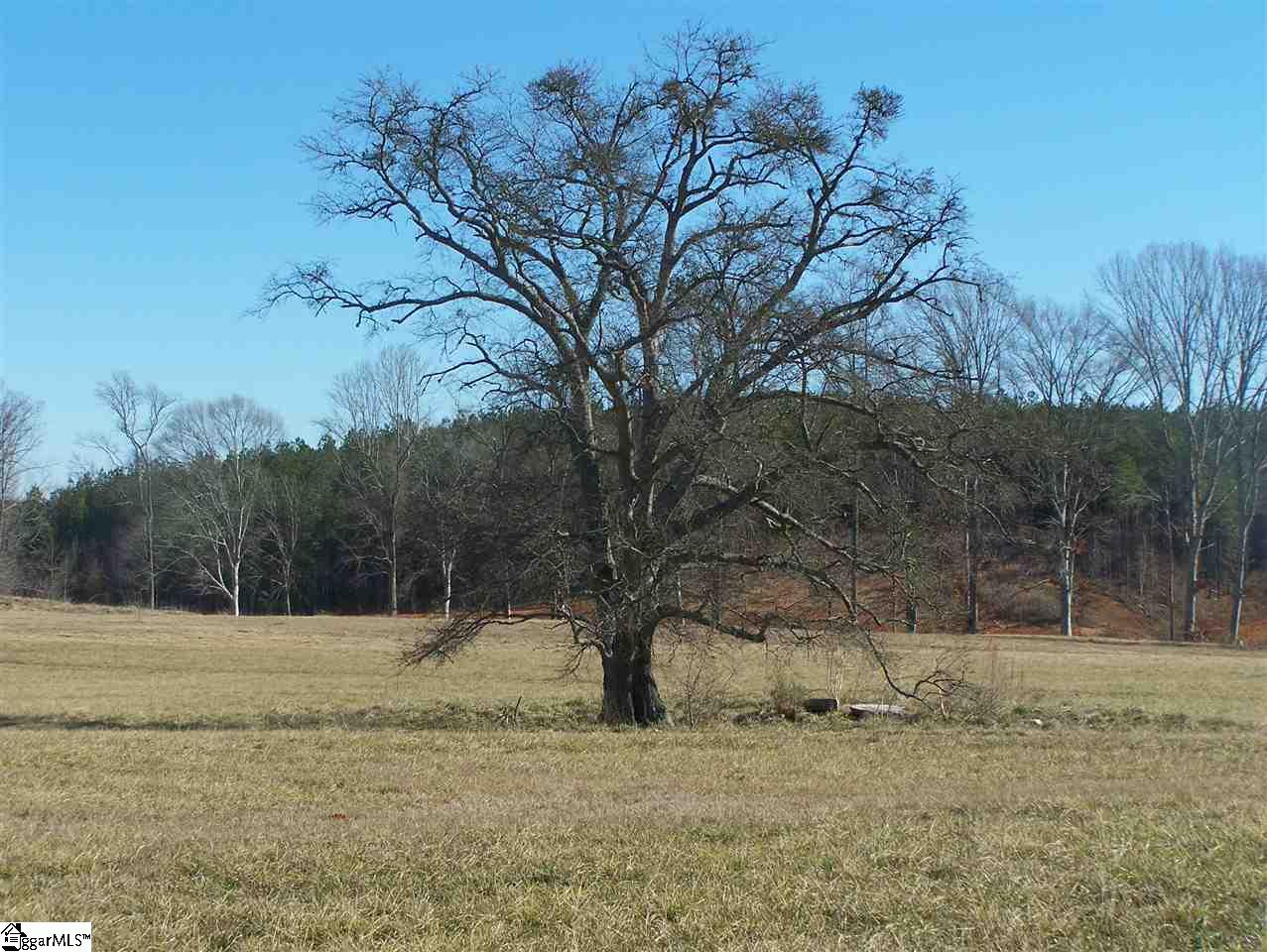 Stewart Dairy Road Fountain Inn, SC 29644 - Photo 1 of 36 Gallery Image 1