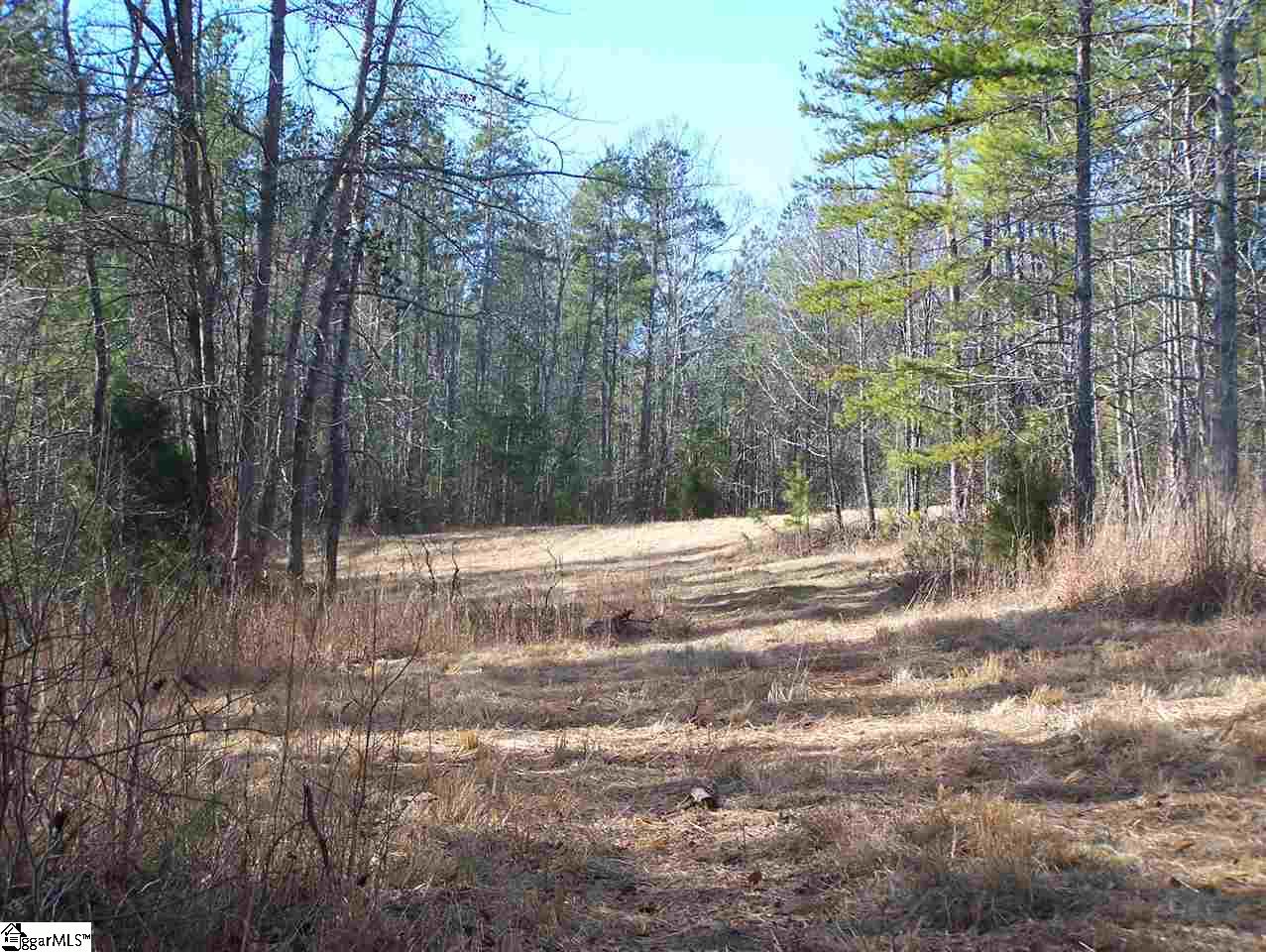 Stewart Dairy Road Fountain Inn, SC 29644 - Photo 2 of 36 Gallery Image 2