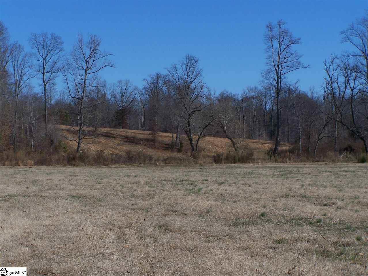 Stewart Dairy Road Fountain Inn, SC 29644 - Photo 11 of 36 Gallery Image 11